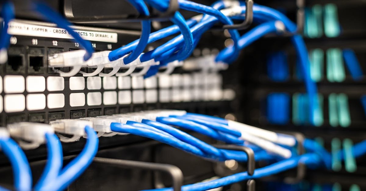 Network Infrastructure and Connectivity